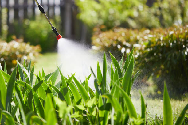 24/7 Emergency Mosquito Control experts in Delmar, MD